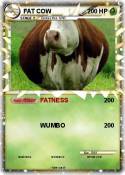 FAT COW