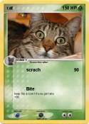 cat