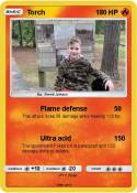 Torch