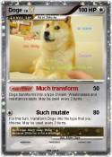 Doge