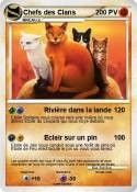 Chefs des Clans