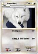 Loup blanc