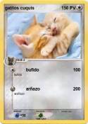gatitos cuquis