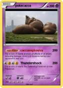 pokecacca