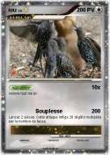 iou