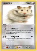HAMSTER