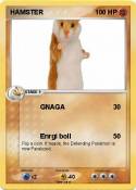 HAMSTER