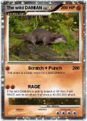 The wild DAMIAN