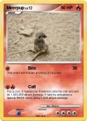Meerpup