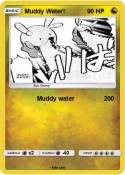 Muddy Water!