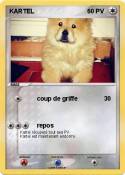 KARTEL