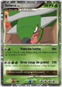 Torterra