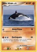 Killer Whale