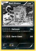 Black Shadow