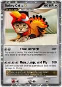 Turkey Cat