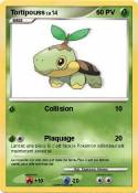 Tortipouss
