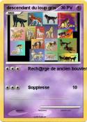 descendant du