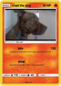 chad the dog