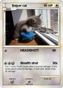 Sniper cat