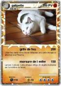 galipette