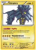 Chiroptera