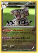 Le chat WTF