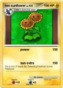 two sunflower