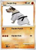 Karate Dog