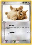 cat