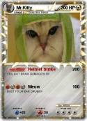 Mr.Kitty