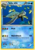 Turtle ethis