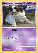 saint-bernard