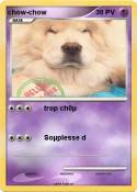 chow-chow