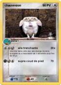 chauvesion