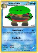 Heavy Turtle