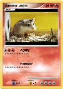 Hamster