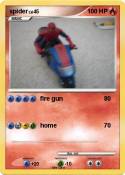 spider