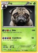 Pug