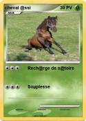 cheval @ssi