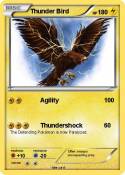 Thunder Bird
