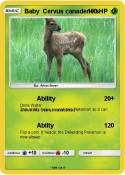 Baby Cervus