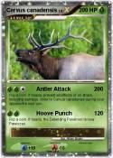Cervus canadens