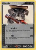 chinchilla