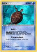 Turtle