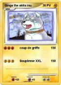 Ginga the akita