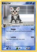 Baby Cat