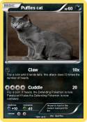 Puffles cat