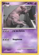 pit-bull