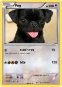 Pug