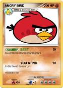 ANGRY BIRD